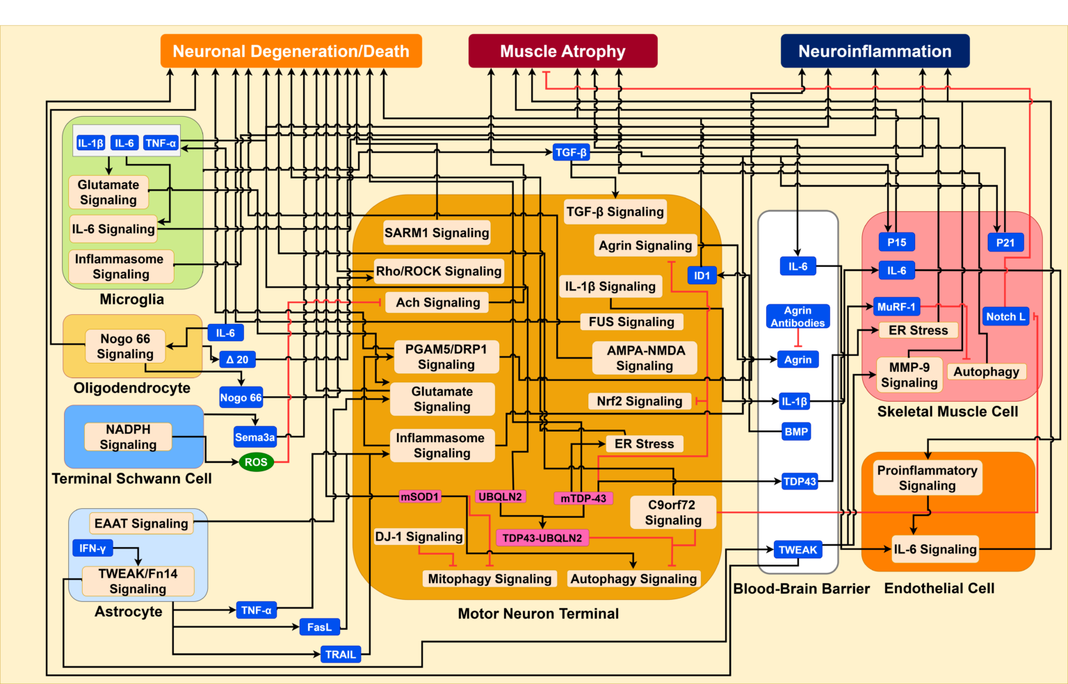 Systems Architecture