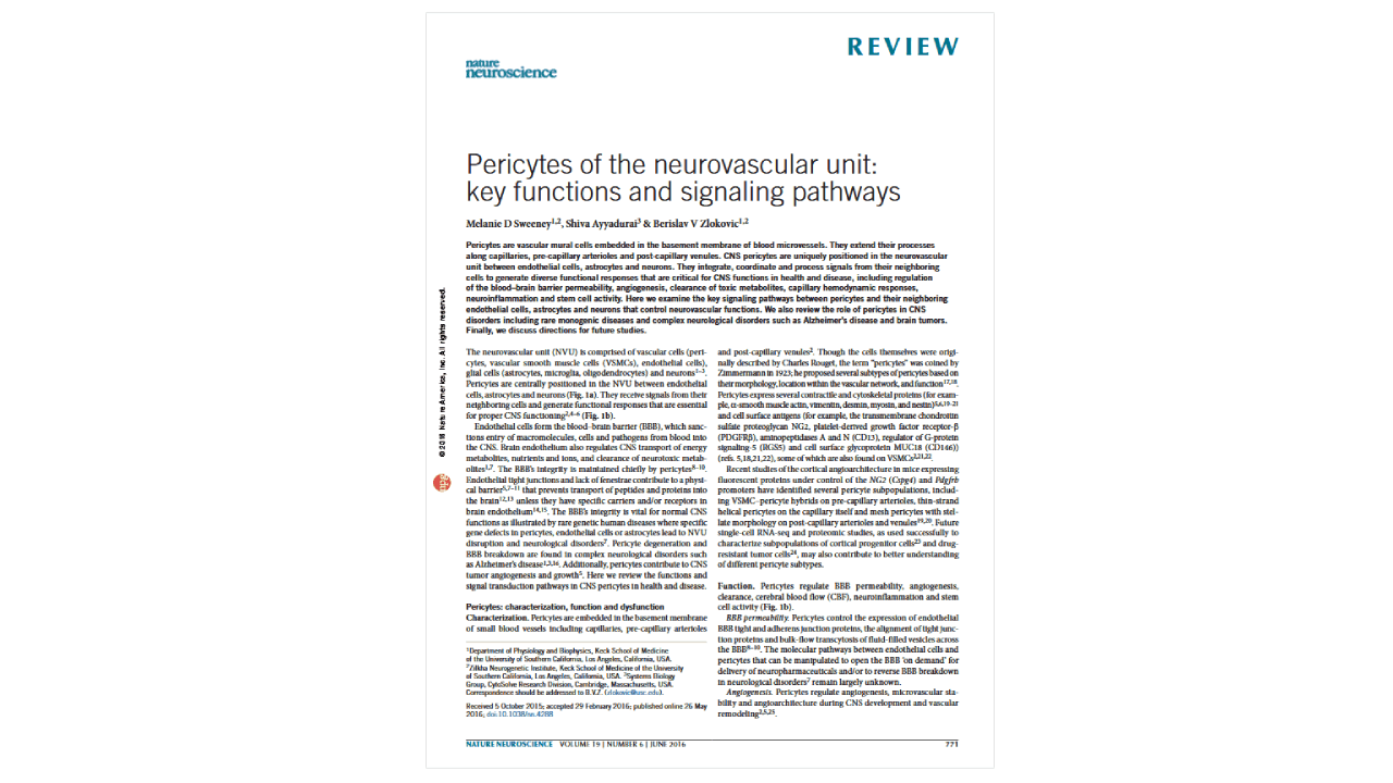 NATURE Neuroscience</br>May 2016