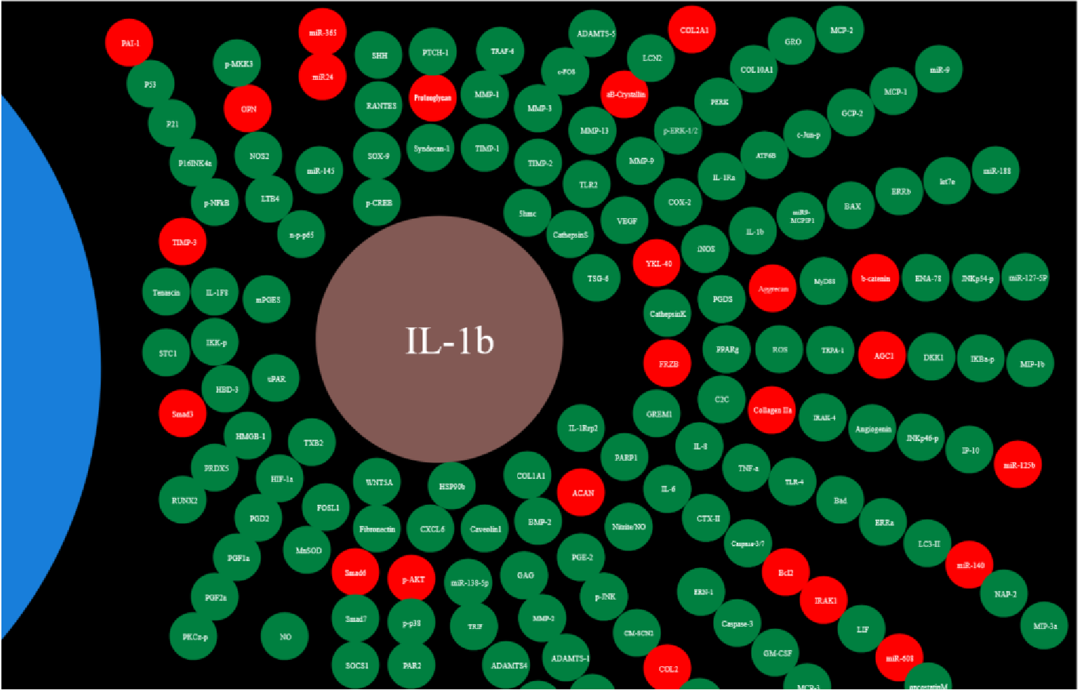 Systems Architecture