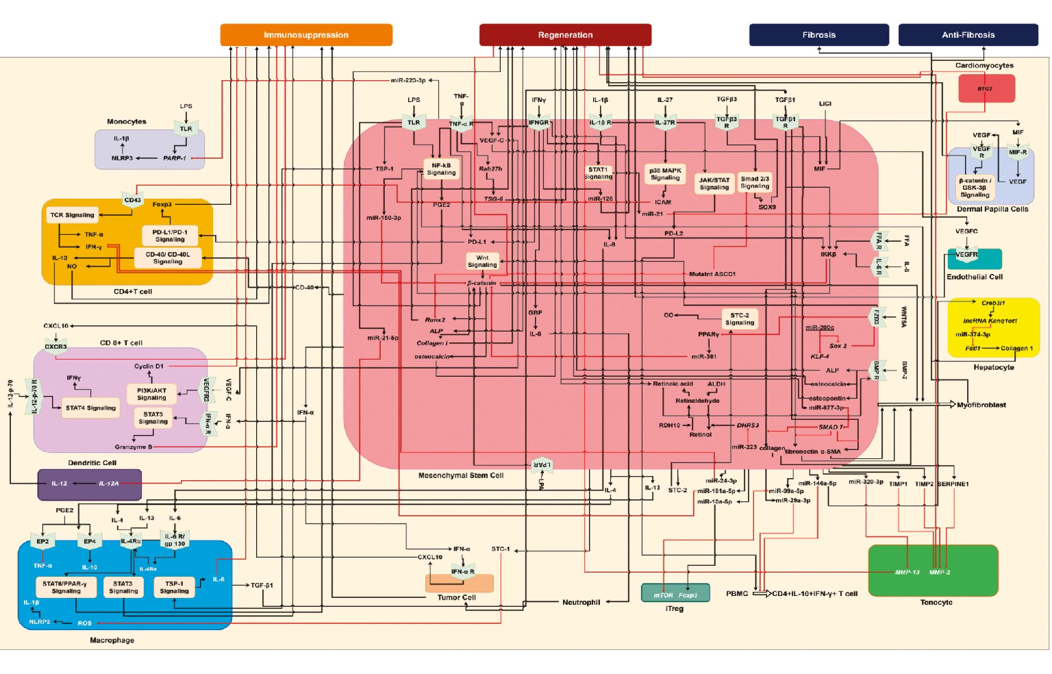 Systems Architecture