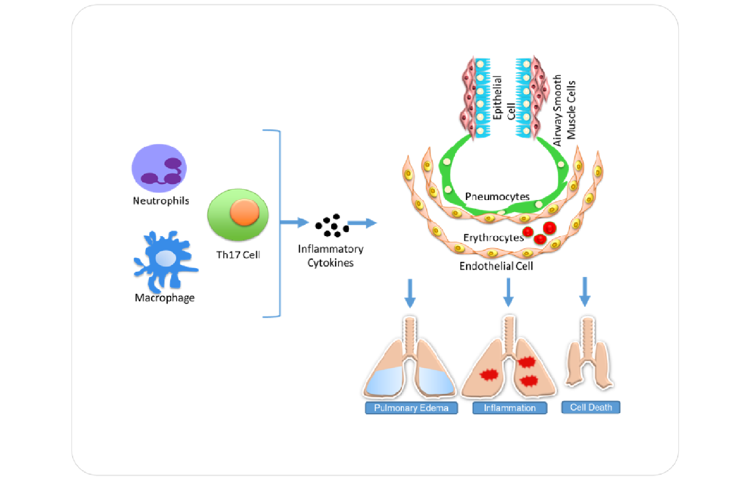 Systems Architecture