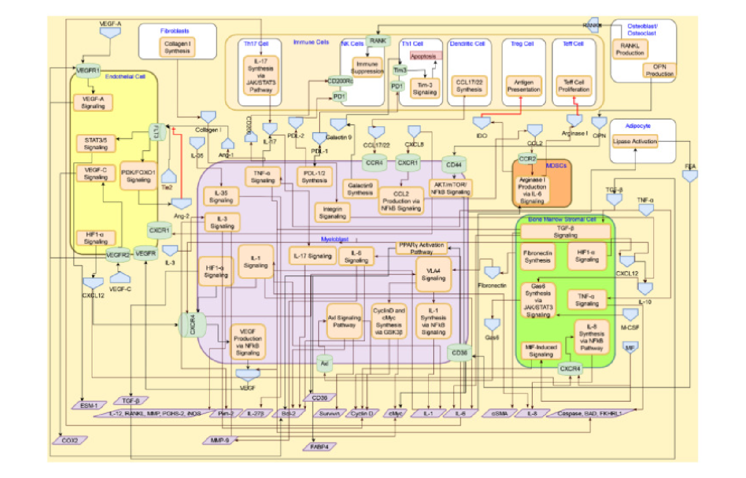 Systems Architecture
