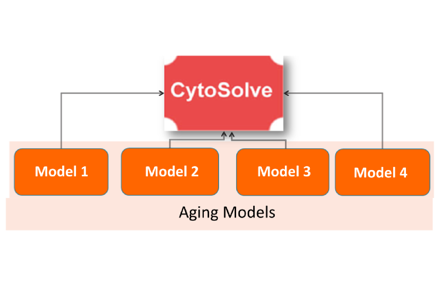 <i>In Silico</i> Modeling