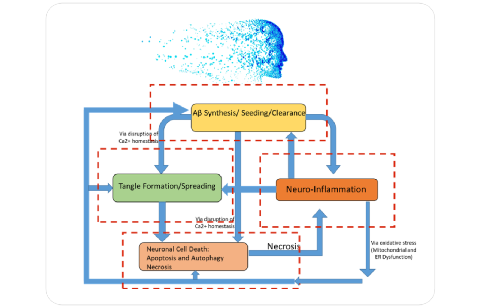 Systems Architecture