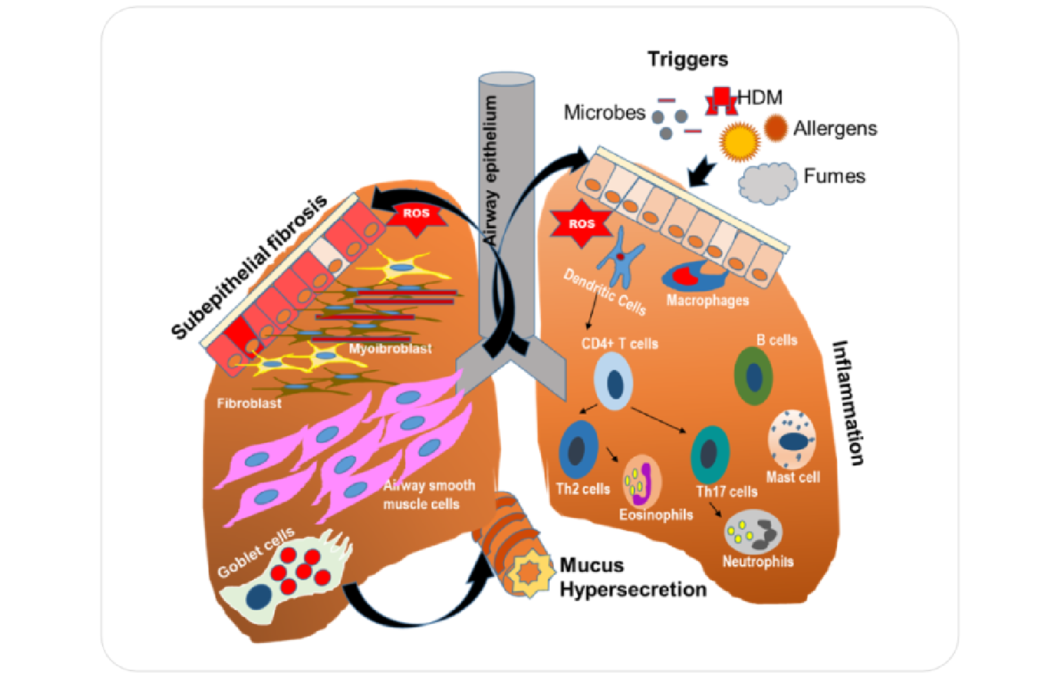 Systems Architecture
