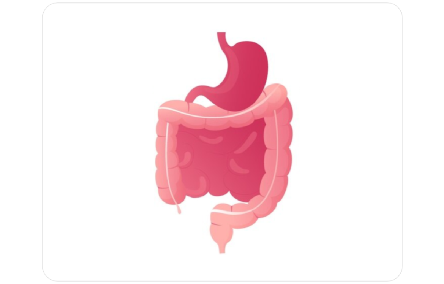 Systems Architecture
