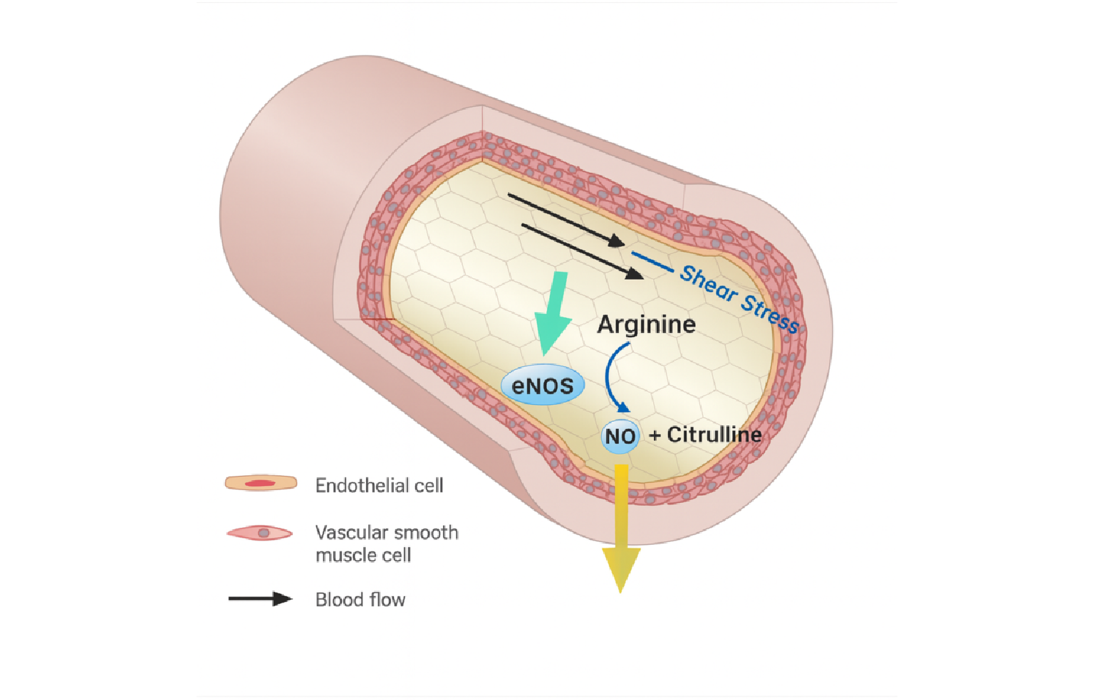 Systems Architecture