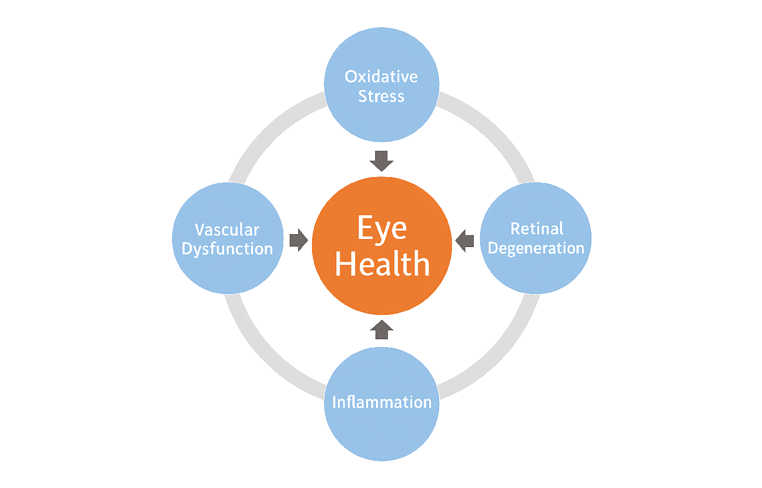 Systems Architecture