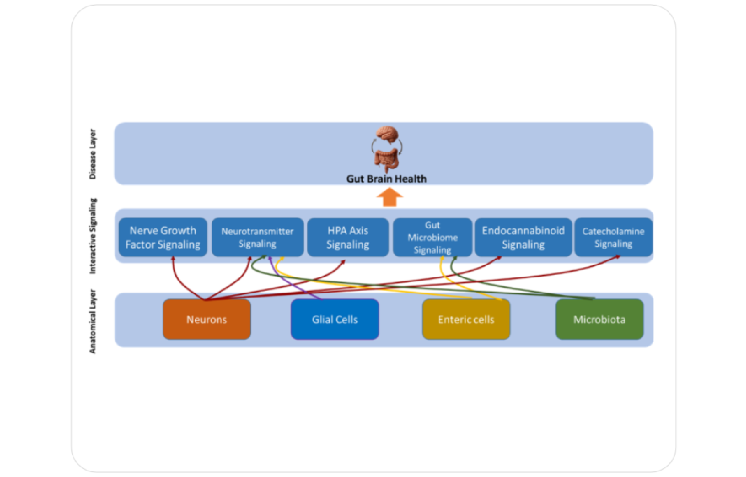 Systems Architecture