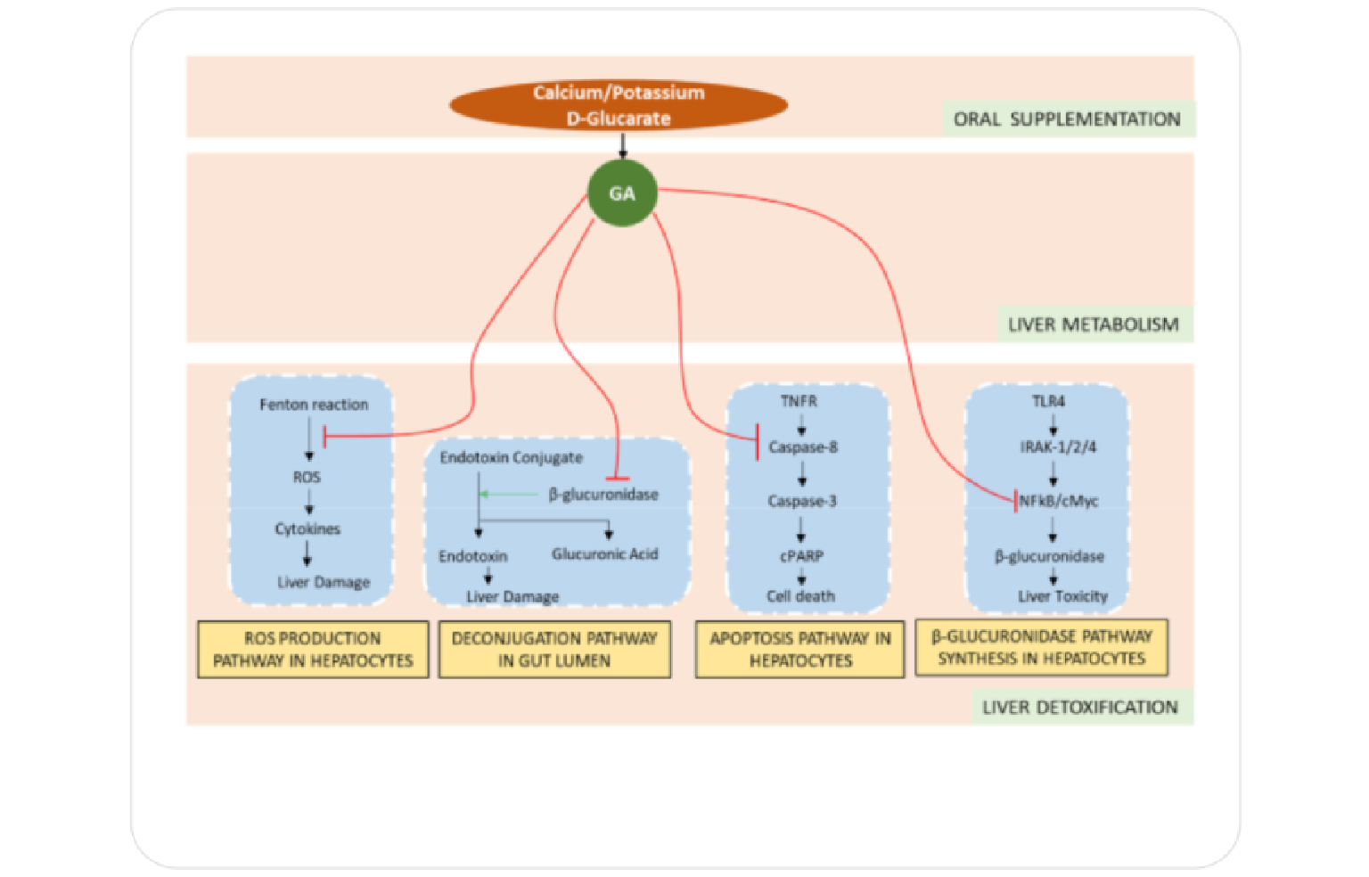 Systems Architecture