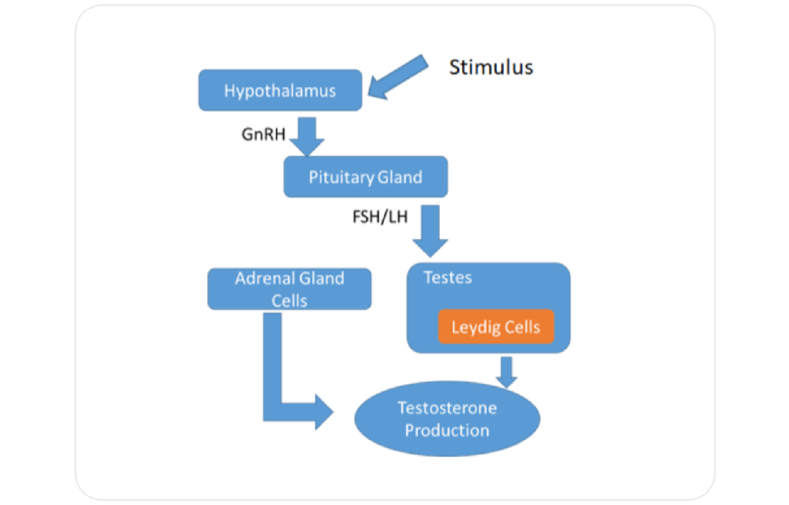 Systems Architecture