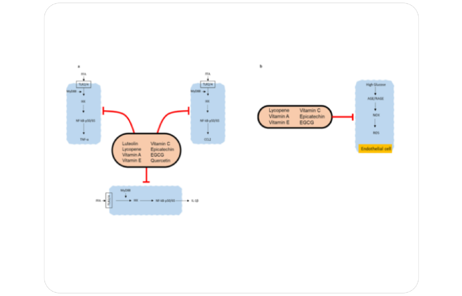 Systems Architecture