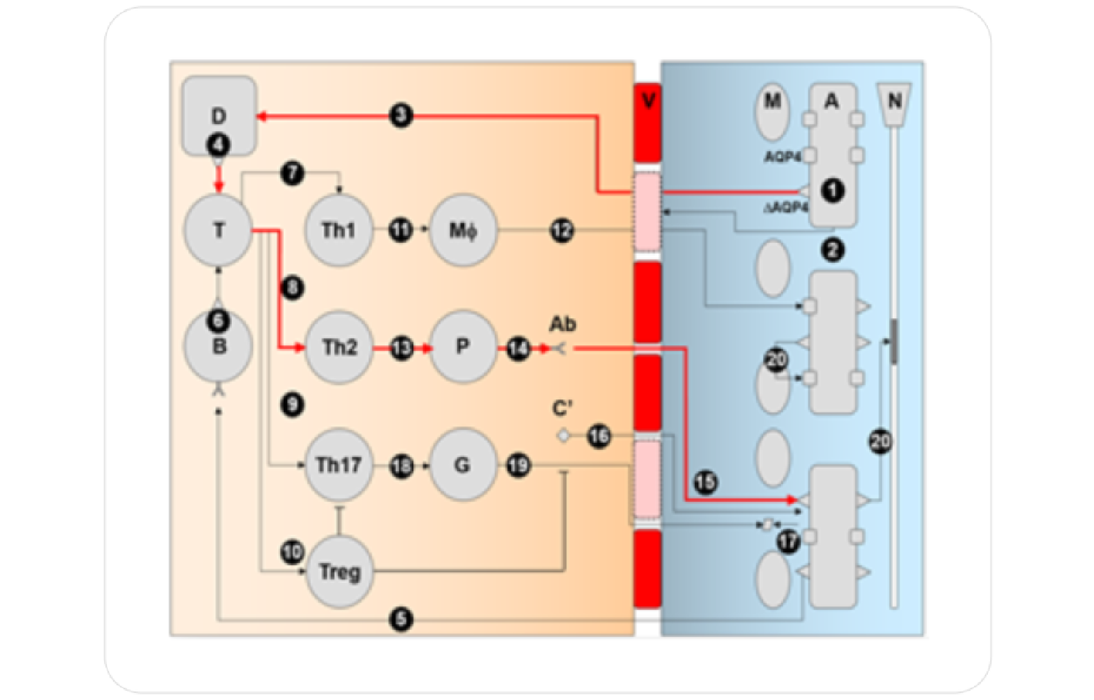 Systems Architecture
