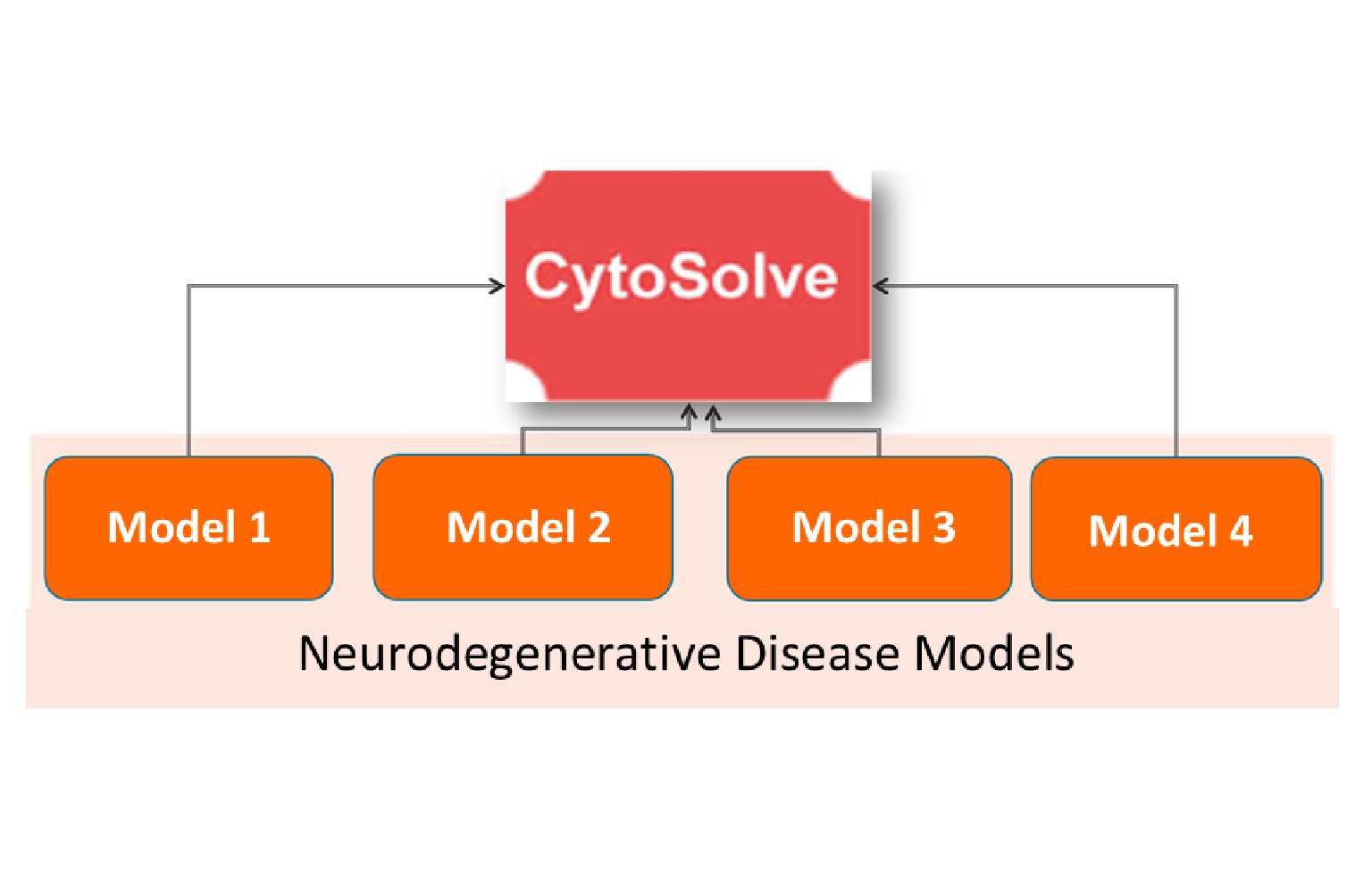 <i>In Silico</i> Modeling