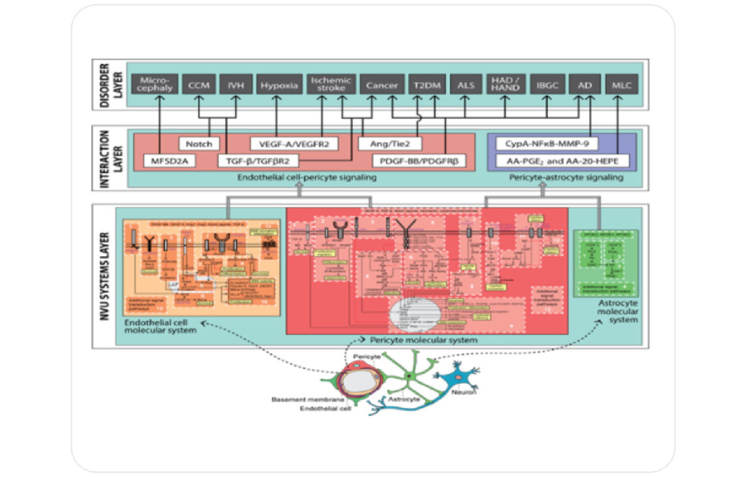 Systems Architecture