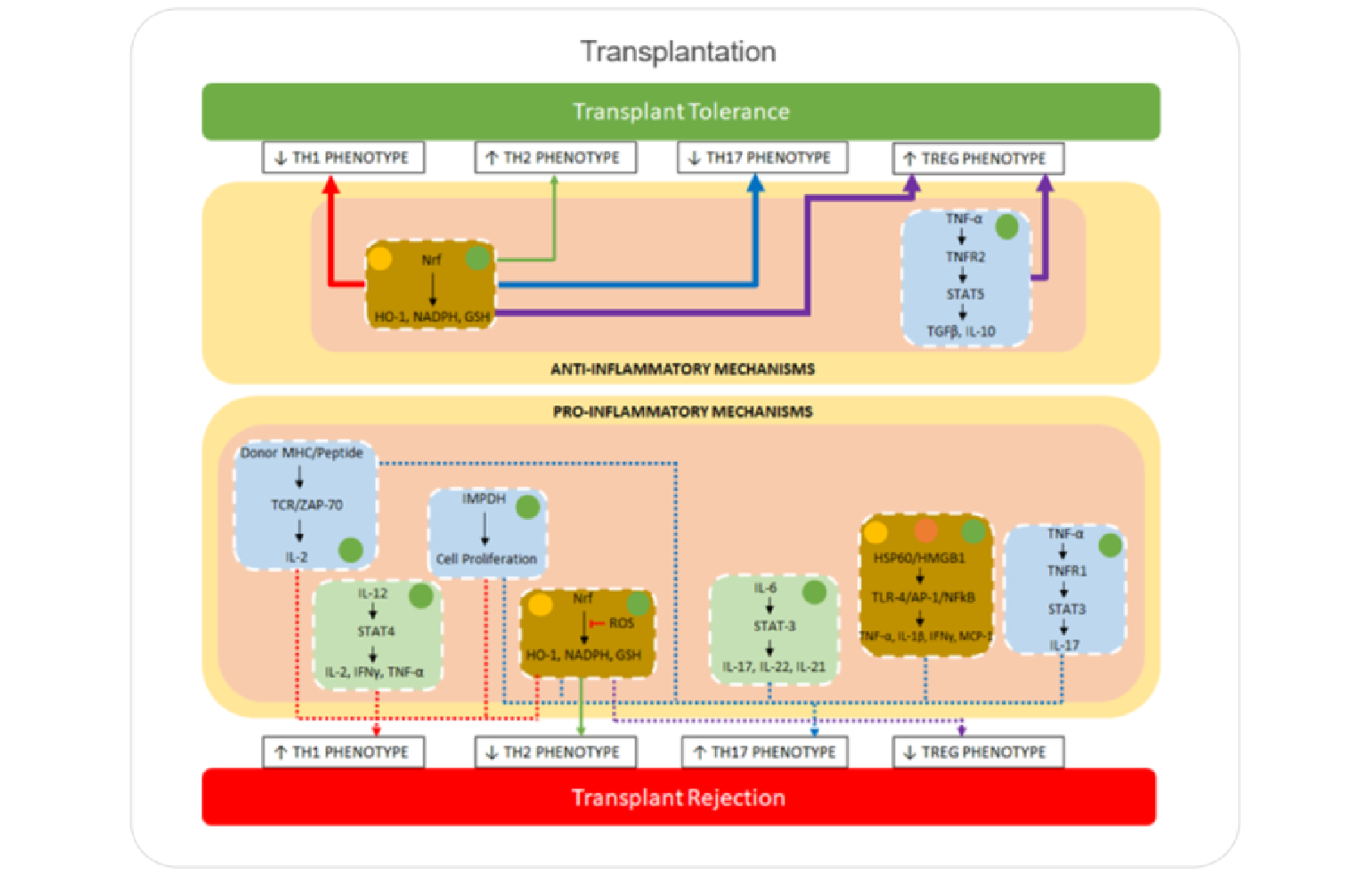 Systems Architecture