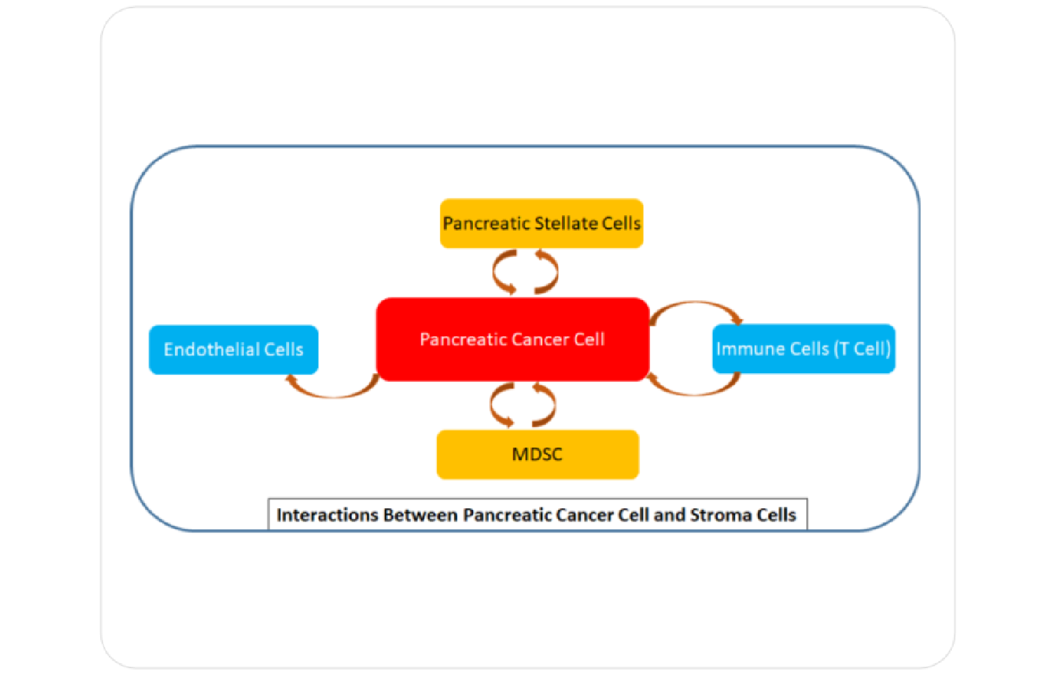 Systems Architecture