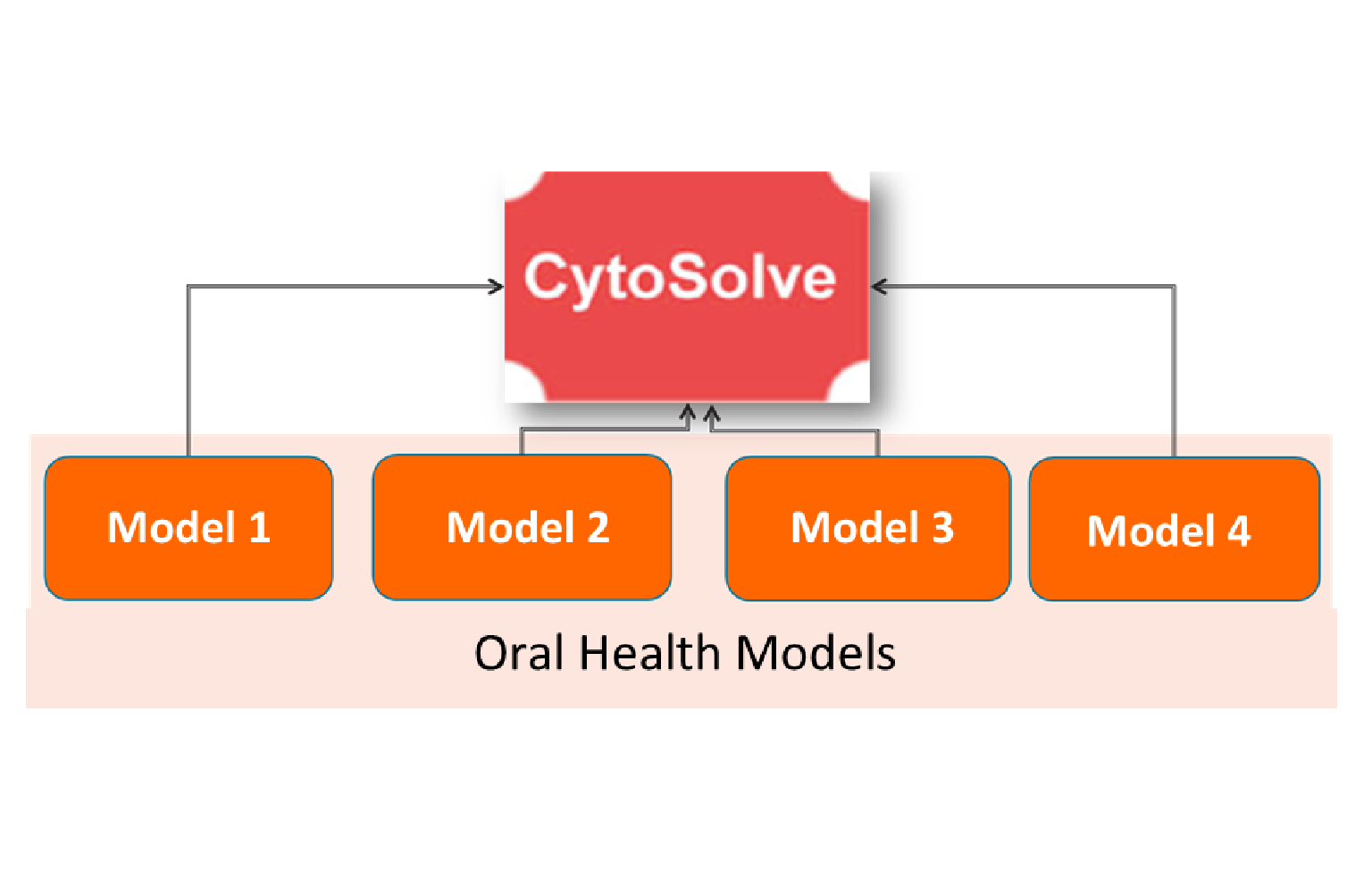 <i>In Silico</i> Modeling