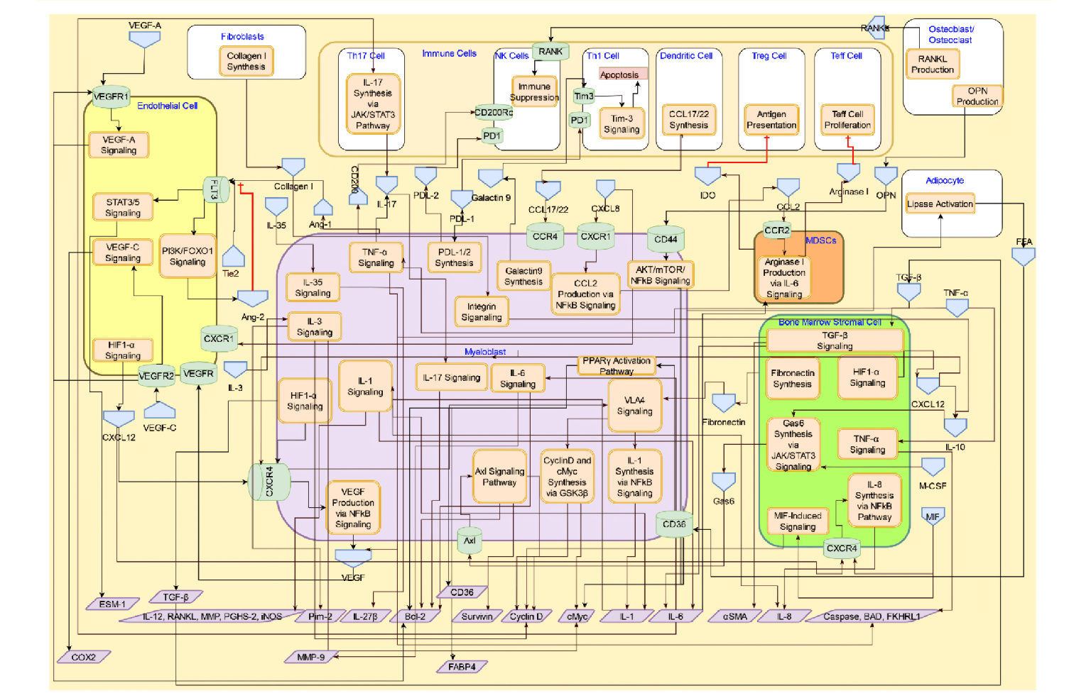 Systems Architecture