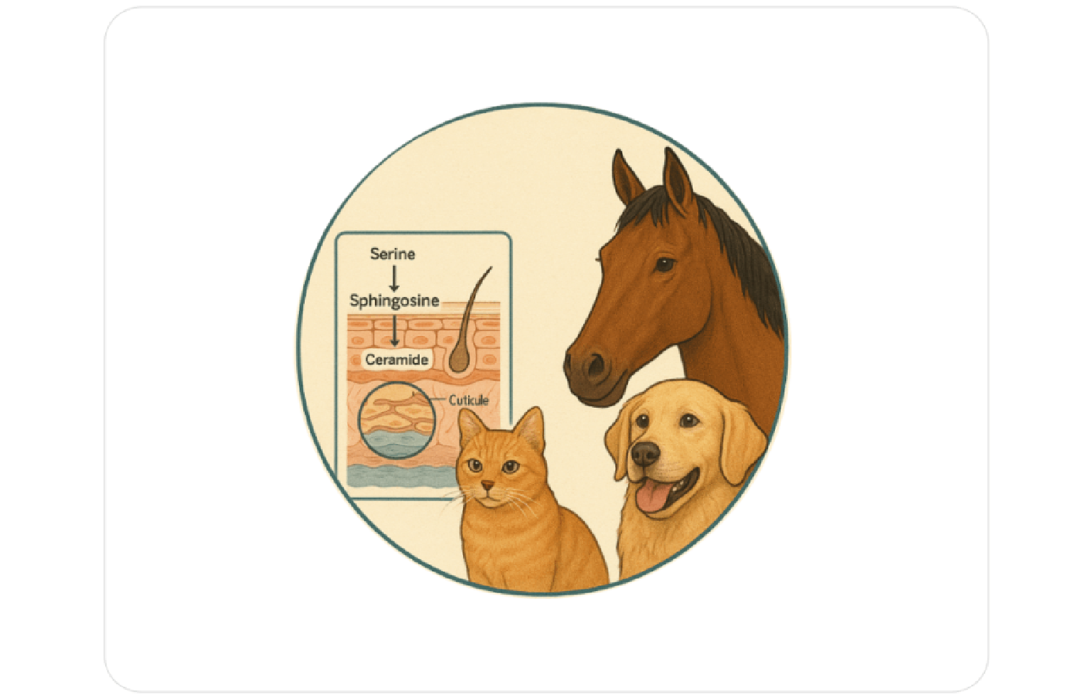 Systems Architecture