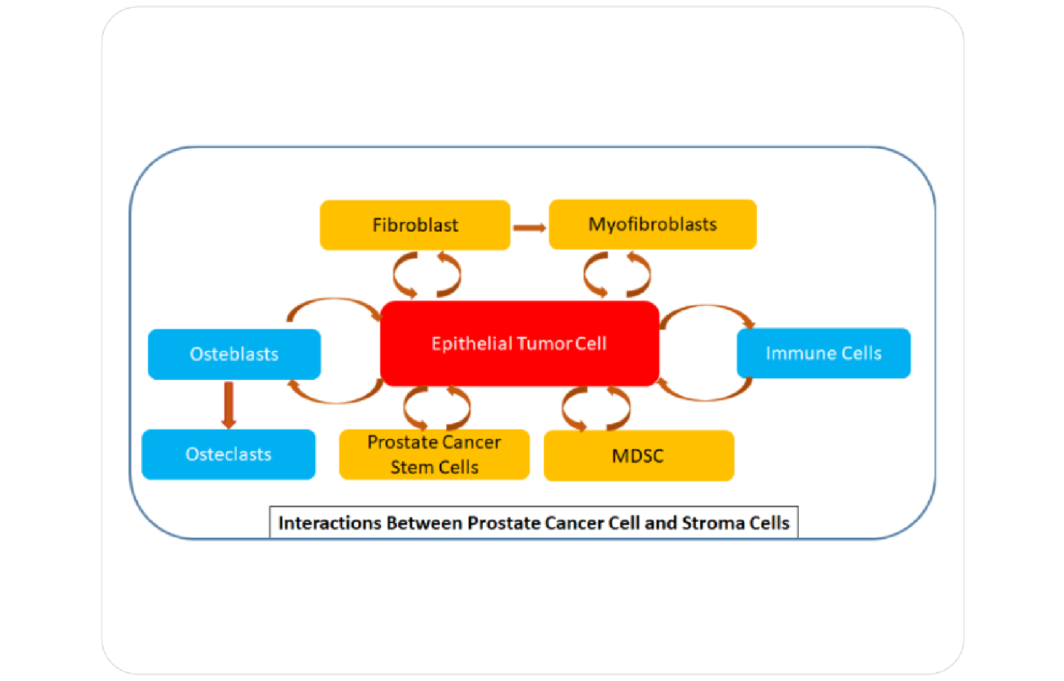 Systems Architecture