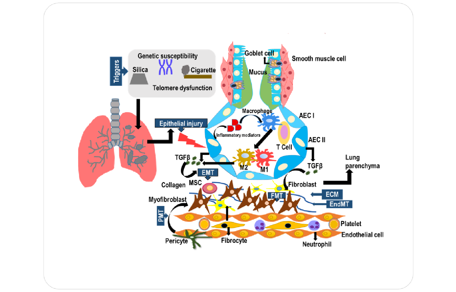 Systems Architecture