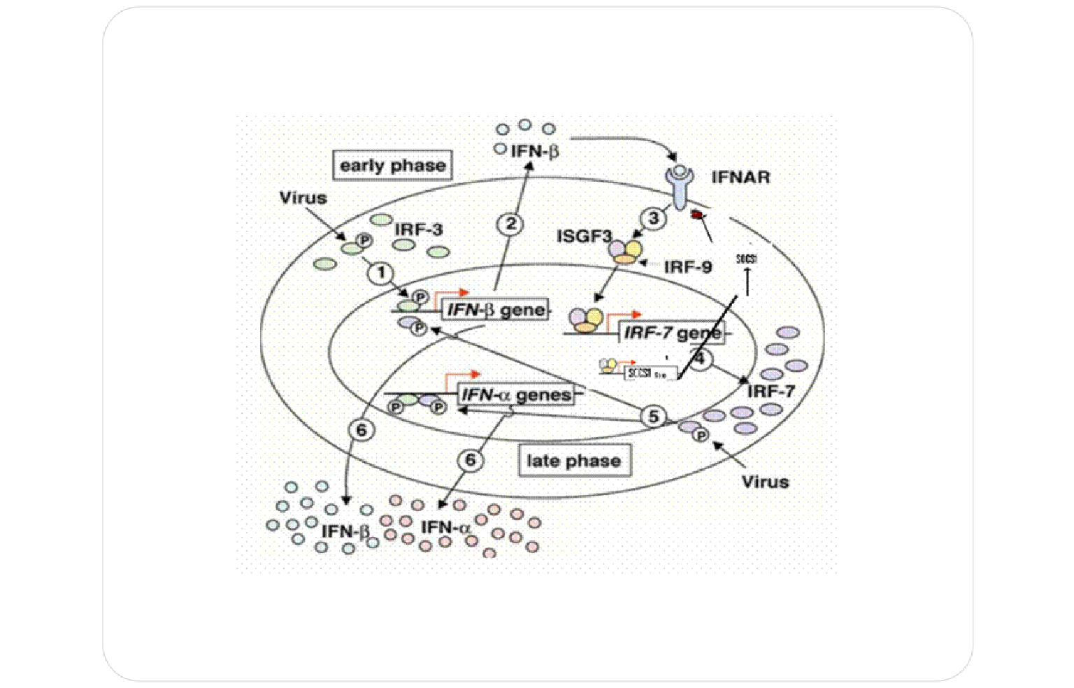 Systems Architecture