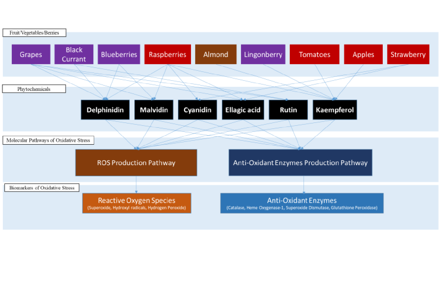 Systems Architecture